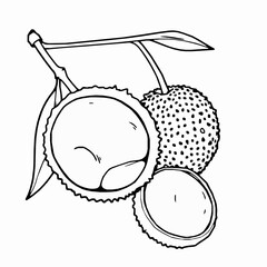 black outline vector of a whole lychee fruit with peeled and unpeeled versions
