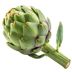 Artichoke isolated on transparent background