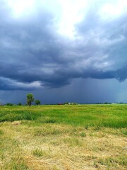 Obraz premium A field with green grass and storm clouds. Before the storm.