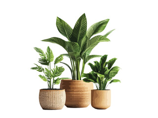 Obraz premium A vector illustration of a potted plant in side view, showcasing vibrant greenery and a simple, modern design, perfect for home decor or nature-related themes.