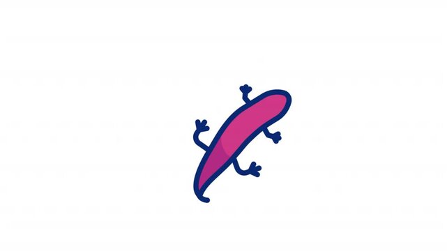 Notoph Thalmus Animated Alpha Icons