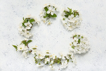 Frame made of beautiful blossoming branches on white background