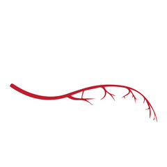 alveolar vessel colored icon