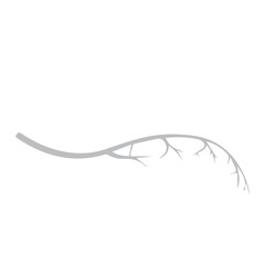 alveolar vessel icon