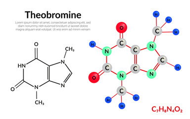 Theobromine (xantheose) chocolate alkaloid, molecular structure formula, ball-and-stick model, suitable for education or chemistry science content. Vector illustration
