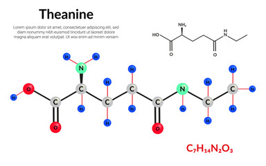 Theanine or L-theanine molecular structure formula, ball-and-stick model, suitable for education or chemistry science content. Vector illustration