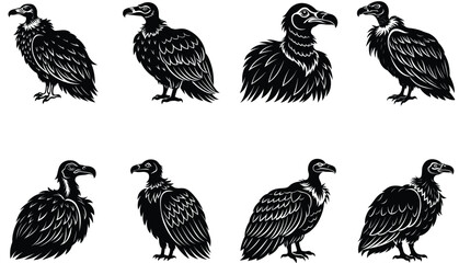 Naklejka premium Vulture Vector Shilhouette Bundle Set 