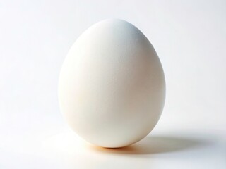 Isolated Egg White Background Stock Photo, Single Egg, Perfect Egg, Fresh Egg, Egg Photography, Culinary Photography, Food Photography, White Background, Minimalist Food Photography