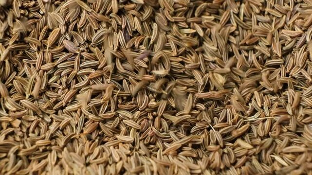 Organic Cumin Seeds for Cooking and Seasoning Pour Slow Motion
