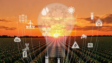 Smart digital agriculture technology by futuristic sensor data collection management by artificial intelligence to control quality of crop growth and harvest. Computer aided plantation grow concept.