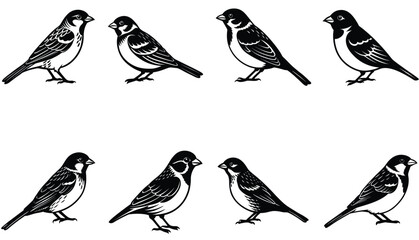 Sparrow Vector Shilhouette Bundle Set 