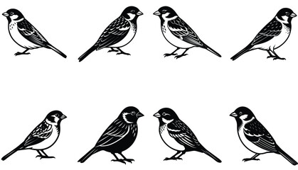 Sparrow Vector Shilhouette Bundle Set 