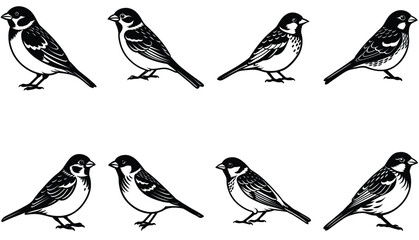 Sparrow Vector Shilhouette Bundle Set 