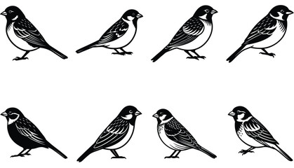 Sparrow Vector Shilhouette Bundle Set 