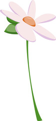 Obraz premium Chamomile on Stem