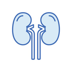 kidney Vector icon