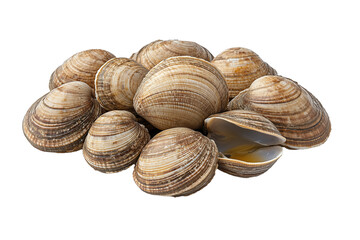 PNG cut out isolated background. A pile of fresh clams with striped, textured shells, with one open clam revealing its tender, glossy interior.
