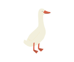 A simple and minimalistic digital illustration of a white goose standing on two legs. The goose drawn in modern flat design with soft pastel colors.