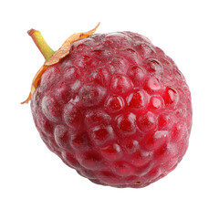 Mulberry fruit isolated on white or transparent background