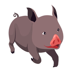 Pig set flat cartoon isolated on white background. Black pig vector illustration