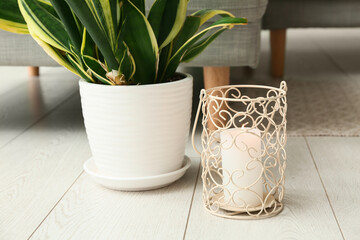 Obraz premium Beautiful candle with houseplant on floor in living room at home, closeup