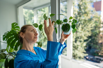 Enthusiastic middle aged woman inspects creeper Philodendron leaves at home, examining grow,...