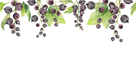 Currant gooseberry with green leaves on branch, hand drawn in watercolor, ripe garden berry juneberry casseille jostaberry cluster group. Isolated seamless banner border for craft menu, farmers market