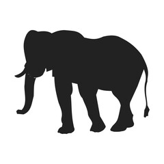 silhouette of elephant