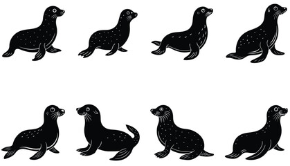 Seal Animal Vector Shilhouette Bundle Set 