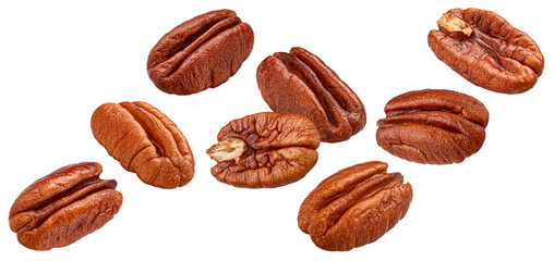 Falling pecan nuts isolated on white background, package design element