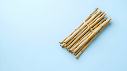 Bundle Of Dried Sticks On Light Blue Background