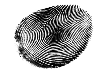Human ink fingerprint isolated on a white background.
