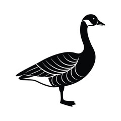 goose isolated on white