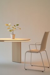 Elegant minimalism with a plant centerpiece in a modern workspace setting during daylight hours