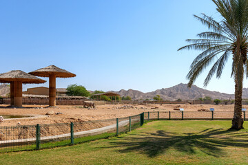 Al Ain Zoo is a top tourist attraction in the UAE, offering a unique blend of wildlife, desert landscapes, and conservation efforts. A must-visit for travelers seeking adventure and nature experiences