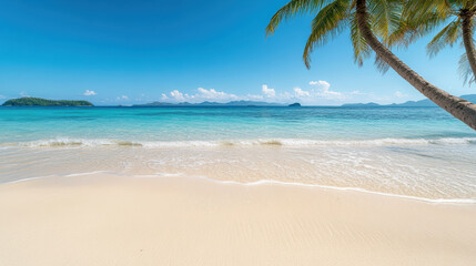 Obraz premium Serene beach with palm trees and soft waves lapping at shore, inviting relaxation