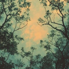 Fototapeta premium A tree with many branches and leaves is shown in the sky