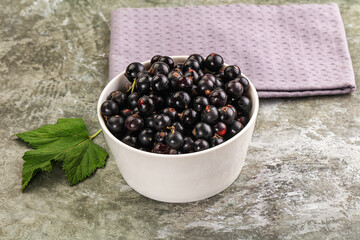 Ripe black currant in the bowl