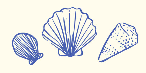 PSet of Hand drawn ink vector seashell illustration. Conceptual, naive marine sketch.  Element for poster, social media, banners, invitation. Trendy seafood menu template.
