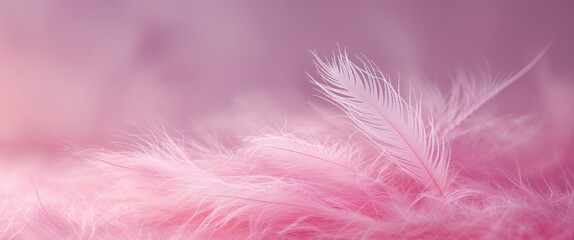 Obraz premium Abstract pink light background with soft highlights for creative design.