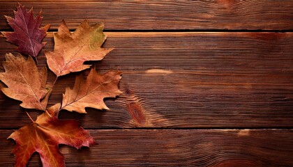 autumn leaves on wooden background