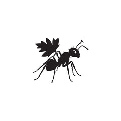 cute ant vector with illustration