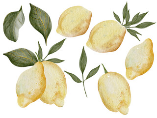 Collection of watercolor illustrations of lemons. For stickers, prints, decor and design. 