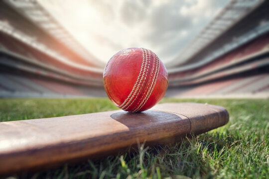 Cricket ball on top of cricket bat on green grass of cricket ground background