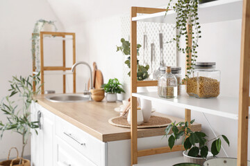Shelving unit with houseplants and pasta in stylish kitchen, closeup