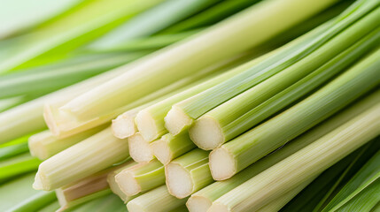 food, vegetable, green, onion, fresh, isolated, healthy, organic, white, ingredient, celery, raw, spring, bunch, plant, salad, leek, herb, lemongrass, vegetarian, nutrition, freshness, leaf, natural, 