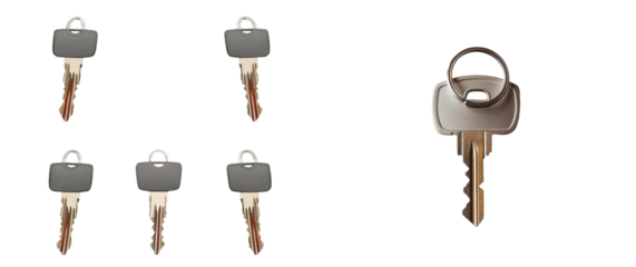 On a white background, a set of two house keys, one for the front entrance and one for the back, is isolated for use either independently or as a design feature