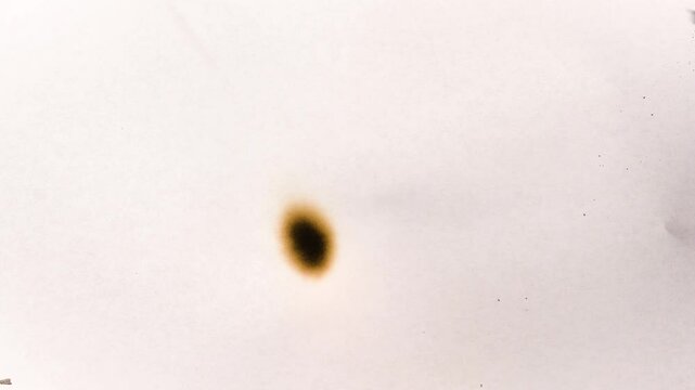 Film burn video transitions. Monochrome texture. Animated paper burning on fire background. High quality 4k footage