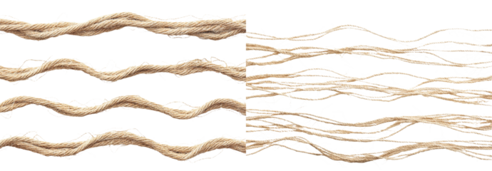 On a white background with a textured quality, a length of string and rope are depicted from a top view