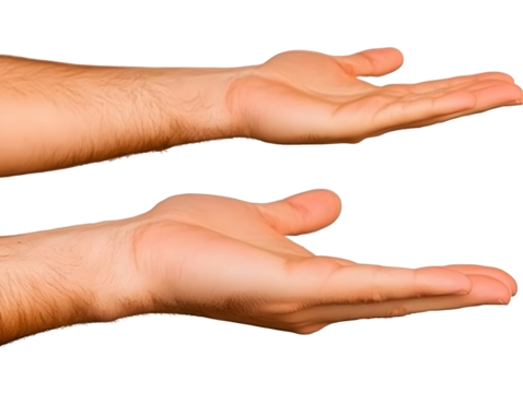 Realistic Image Of Open Hands Offering Palms Up Gesture Two Cupped Hands Display Offering Isolated On Transparent Background For Presentation Digital Graphic Design Resource - Powered by Adobe